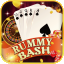 rummy guide