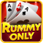 rummy 41 51