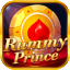rummy model game icon